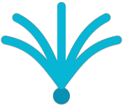 palma.ai favicon